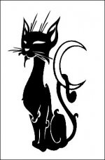 Cat 3-Sierra.jpg